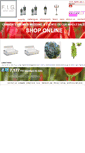 Mobile Screenshot of figcollection.ca